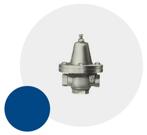 STEAM PRESSURE REGULATOR